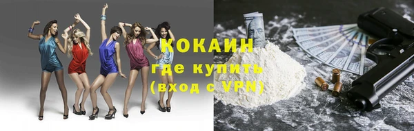 мдпв Гусь-Хрустальный