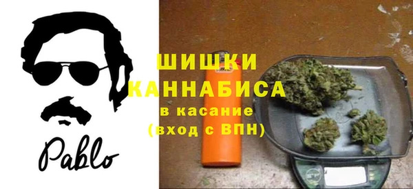 мдпв Гусь-Хрустальный