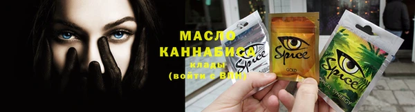 мдпв Гусь-Хрустальный