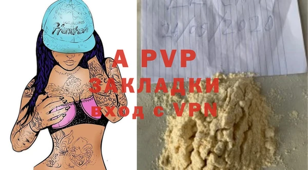 стафф Гусиноозёрск