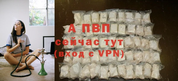 стафф Гусиноозёрск
