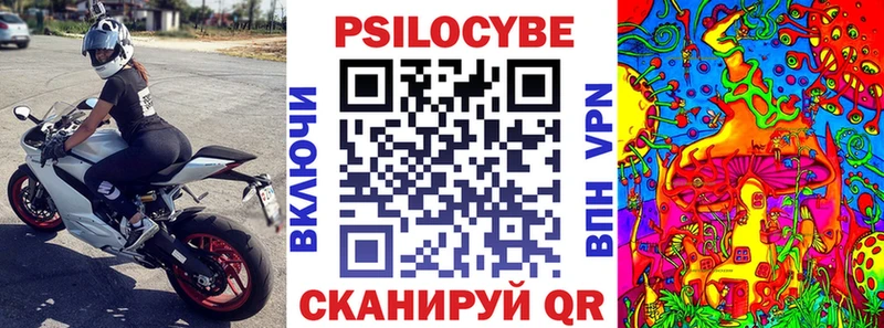 где найти   Мезень  Галлюциногенные грибы ЛСД 